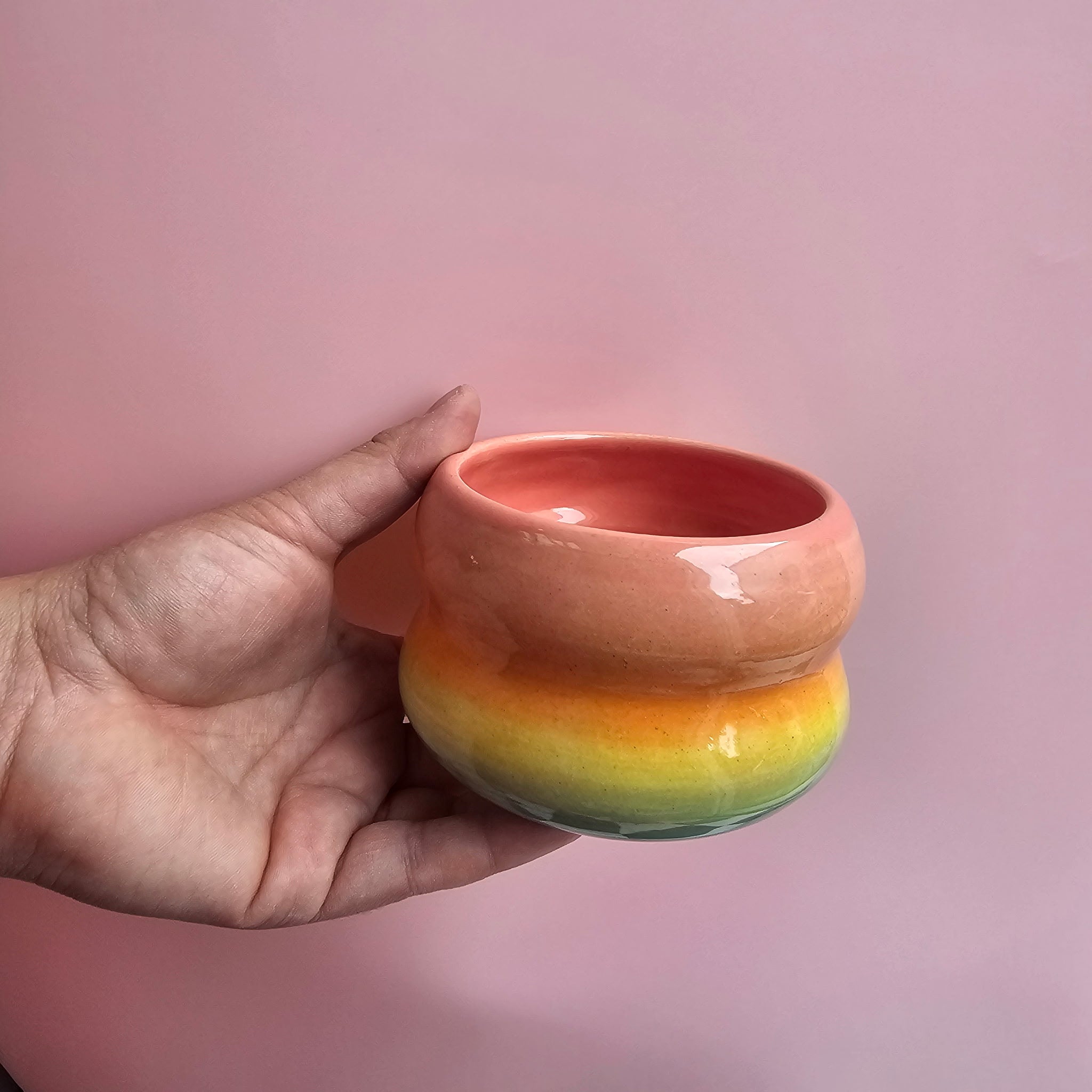 RAINBOW VENUS CUP