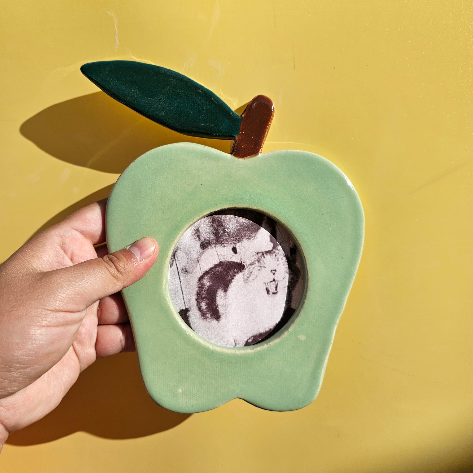 APPLE PICTURE FRAME