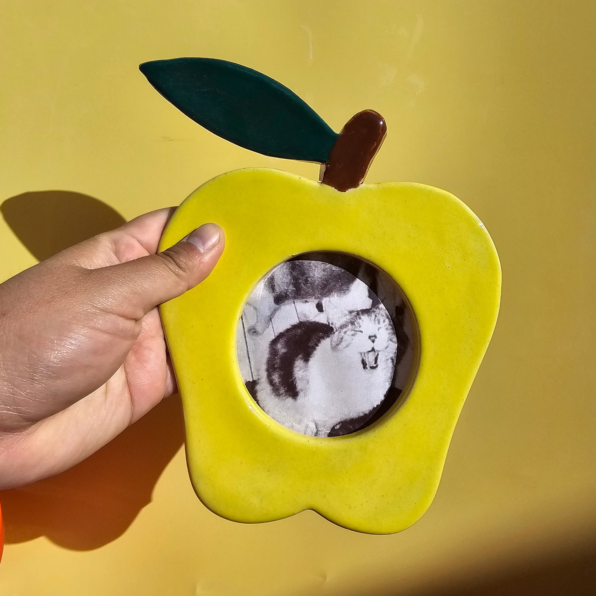 APPLE PICTURE FRAME