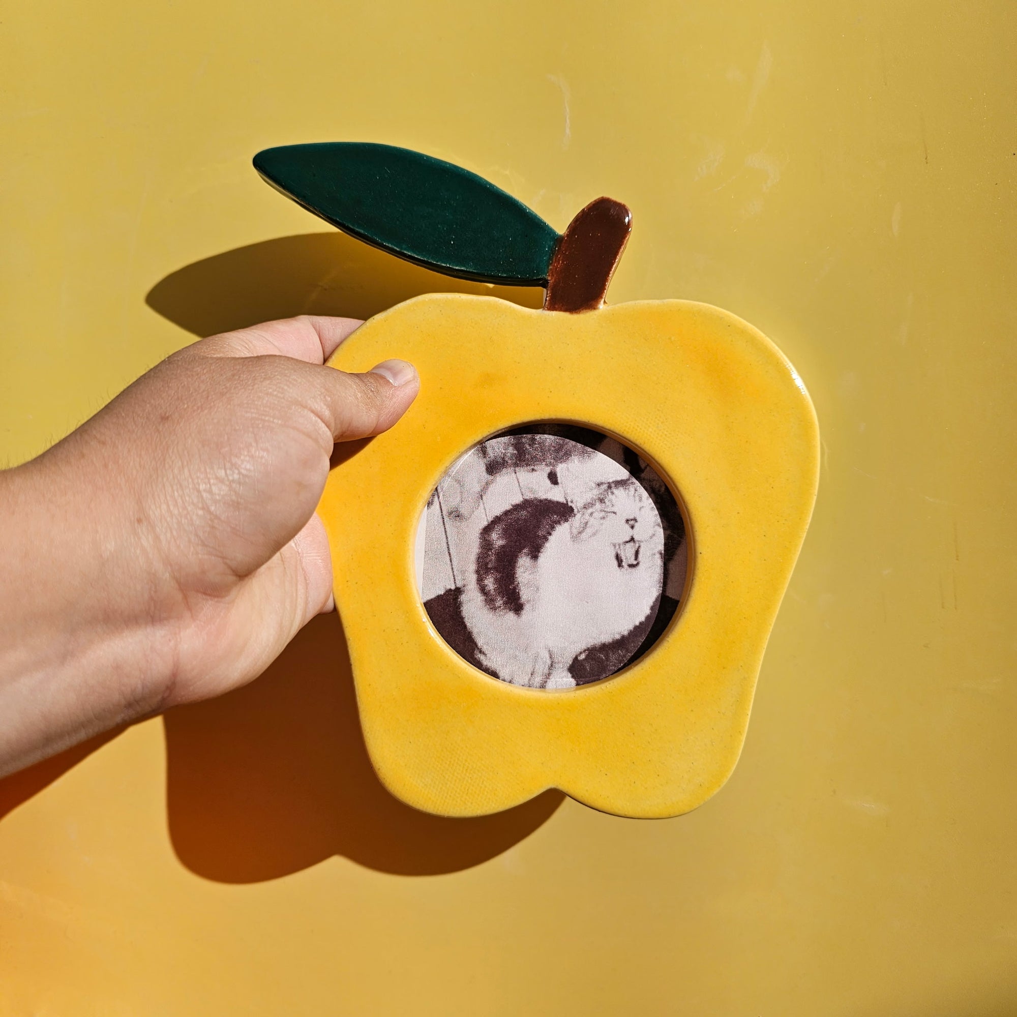 APPLE PICTURE FRAME