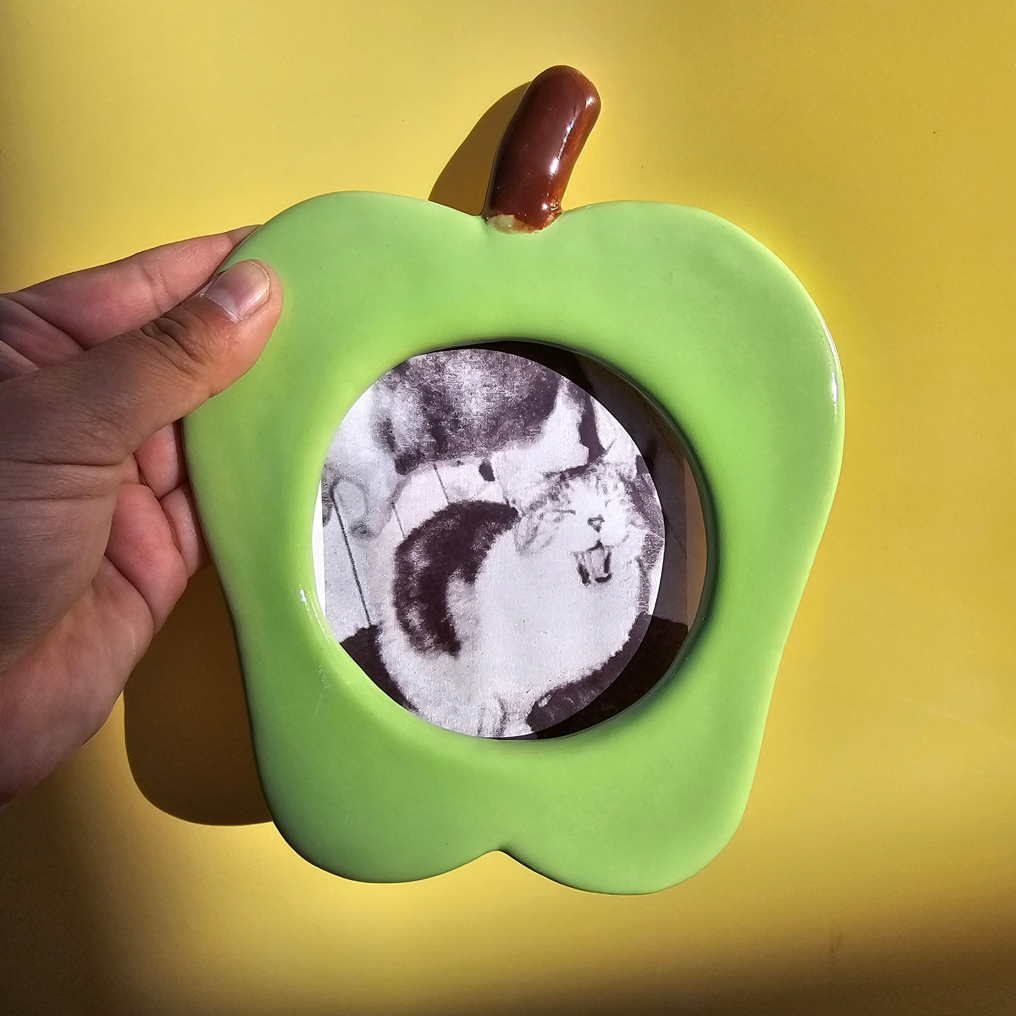 APPLE PICTURE FRAME