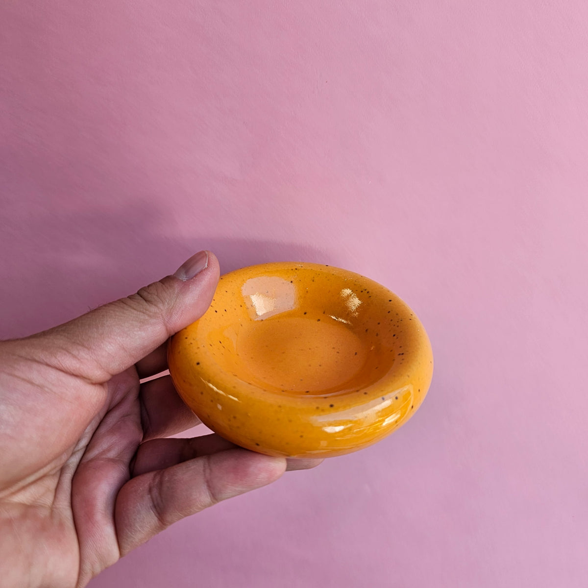 MANGO SAUCE DISH