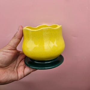 SUNNY BLOOM CUP