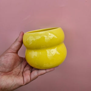 SUNNY VENUS CUP