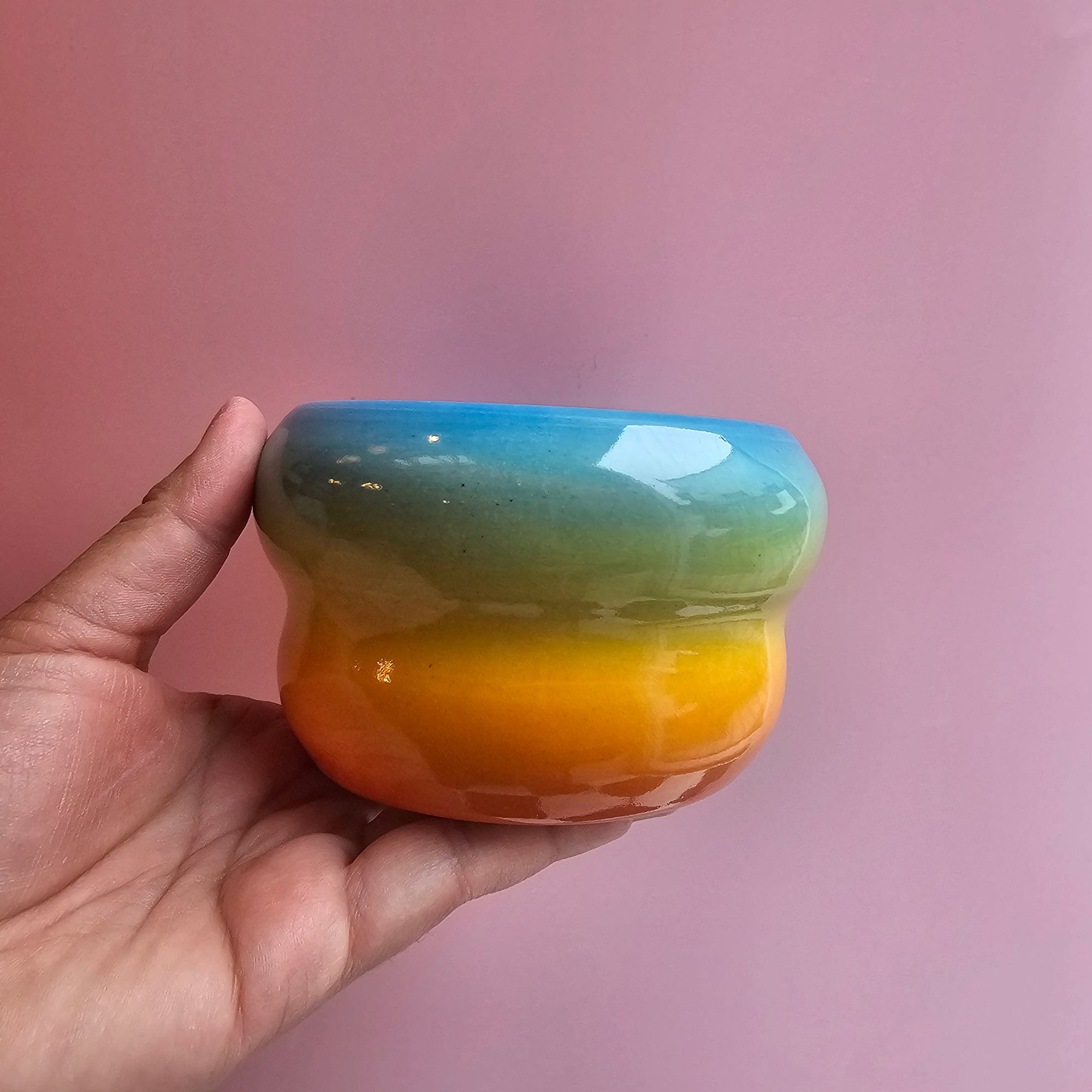 RAINBOW VENUS CUP