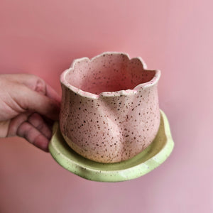 PINKY TULIP CUP & DISH BLOOM SET