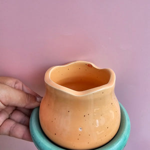 *SECOND* BLOOM CUP AND SAUCER PEACHY AND LAKE