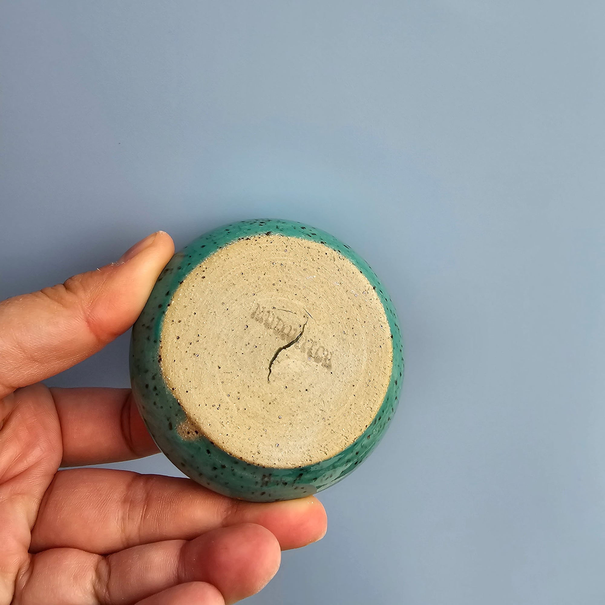 *SECONDS* LAKE SPECKLED LIL DISH