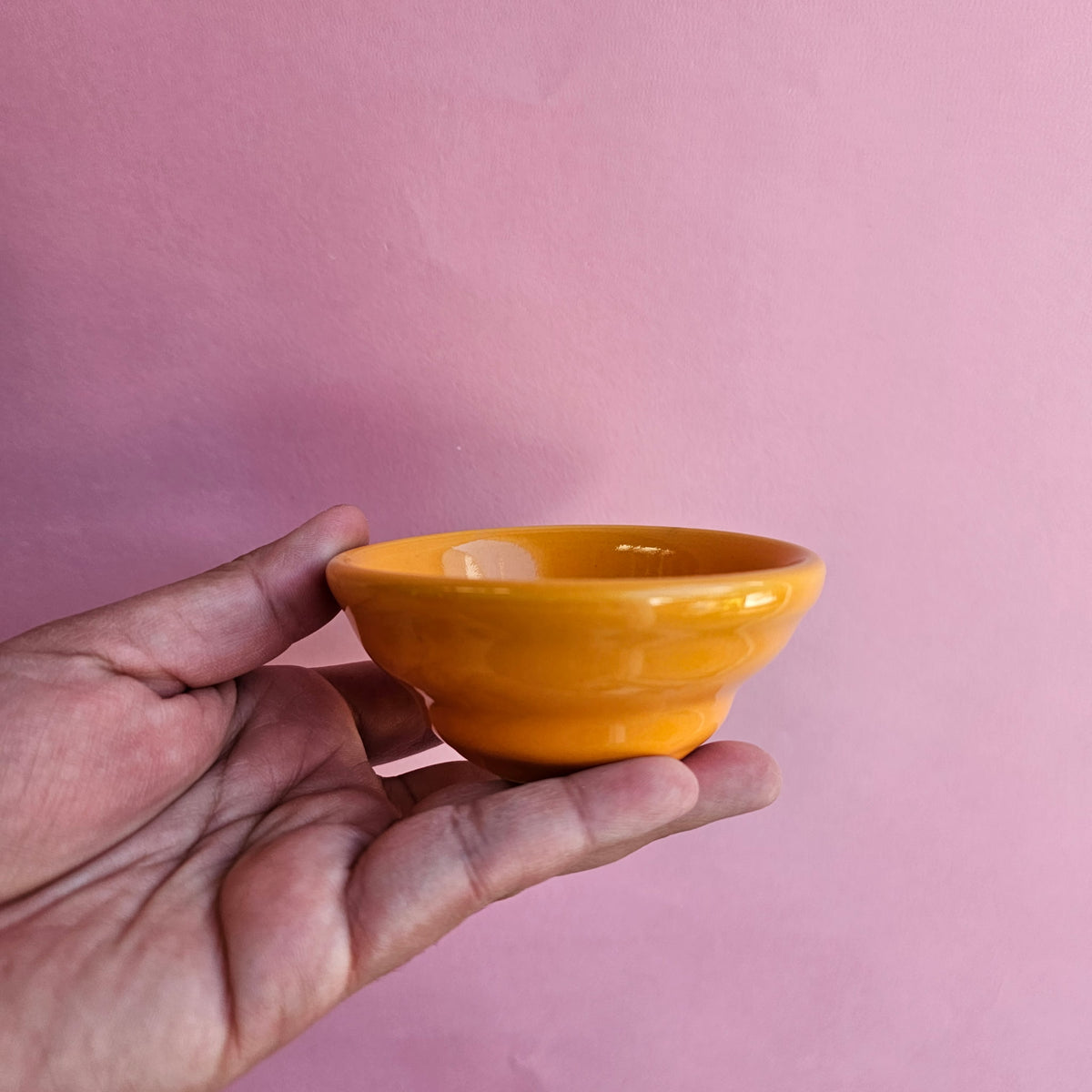 MANGO SAUCE DISH