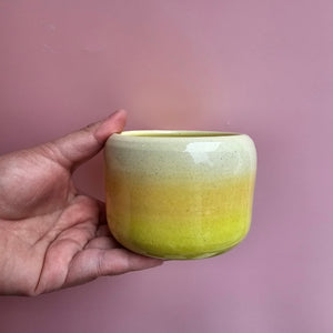 HAZY DAY CUP!