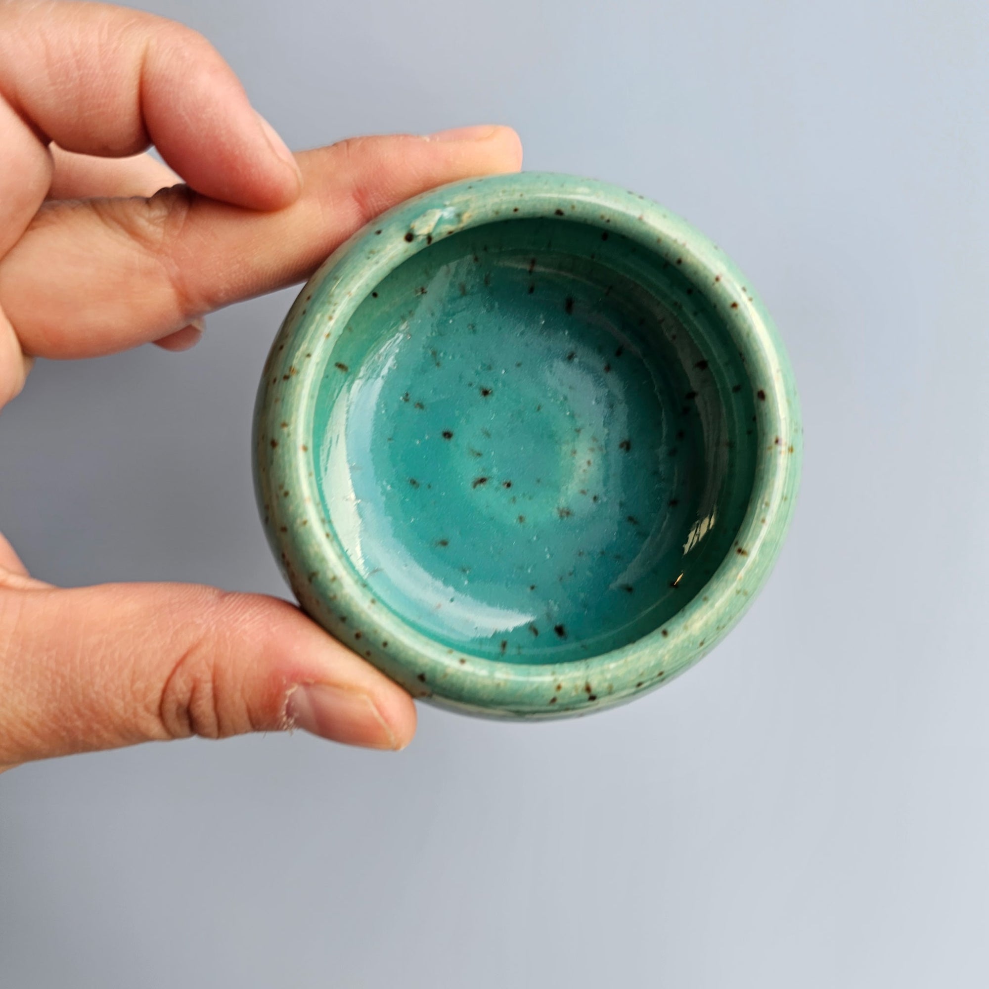 *SECONDS* LAKE SPECKLED LIL DISH