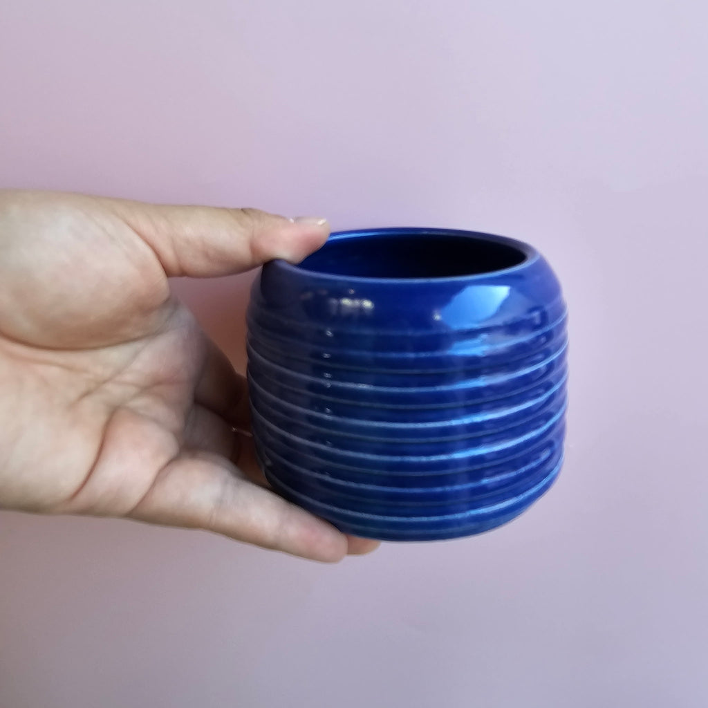 BLUEBERRY RIDGE CUP