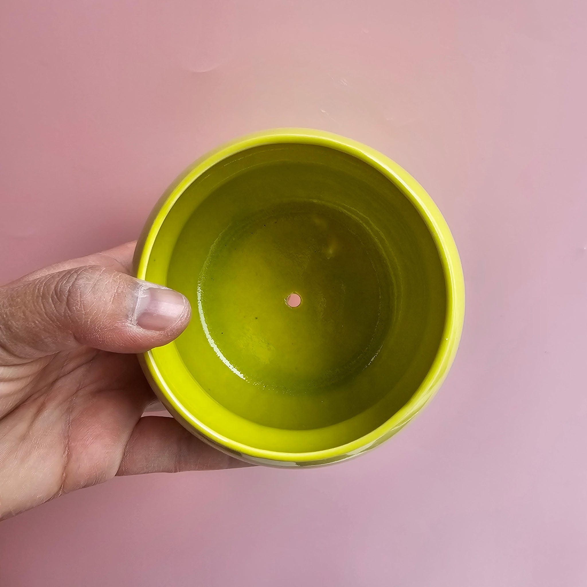 SLIME VENUS PLANTER!