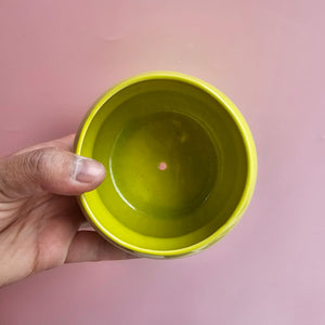 SLIME VENUS PLANTER!