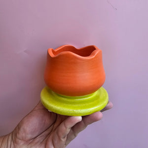 CHARTREUSE/PERSIMMON TULIP BLOOM CUP