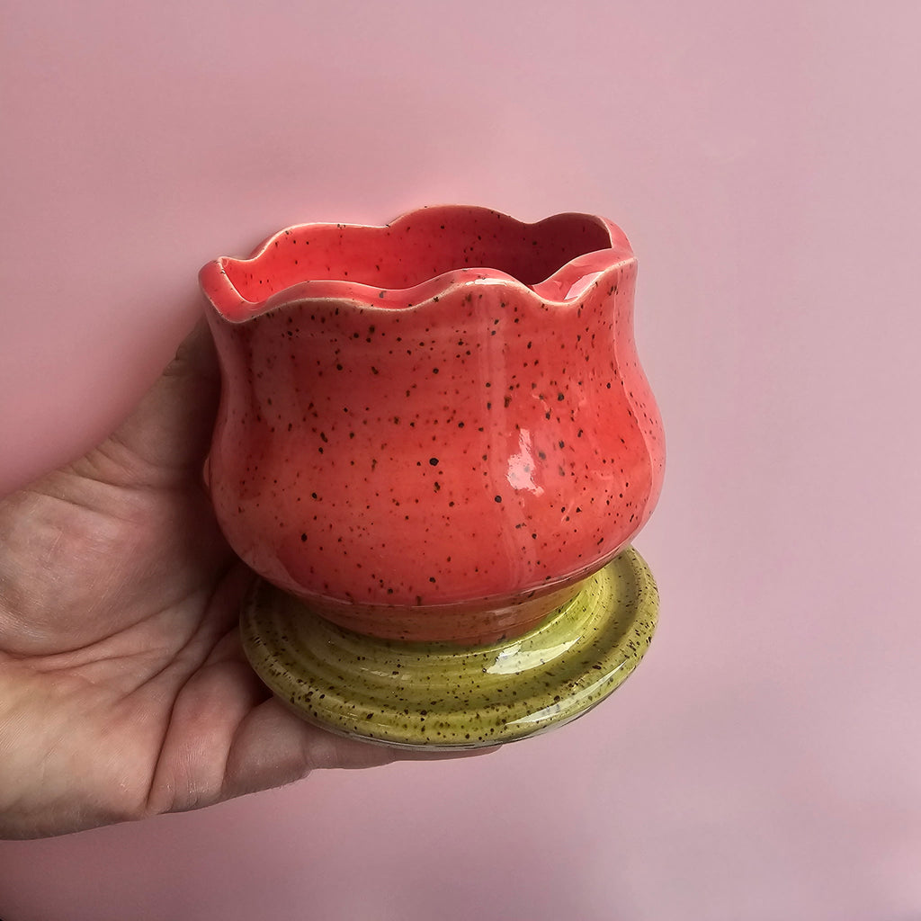 CORAL TULIP BLOOM CUP