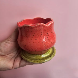 CORAL TULIP BLOOM CUP