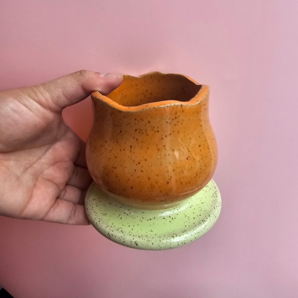 🌷 TULIP BLOOM CUP