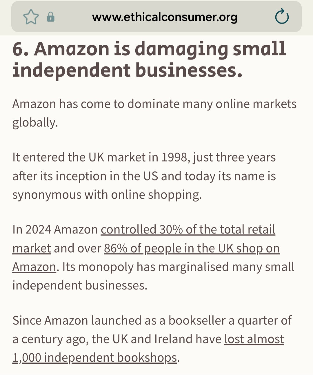 LEMON PIE LOTUS LAMP!